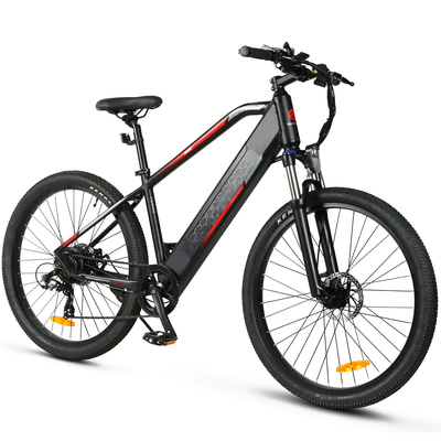 48V 10Ah 리튬 배터리 광폭 타이어 일렉트릭 시티 자전거 산악 Ｅ 자전거